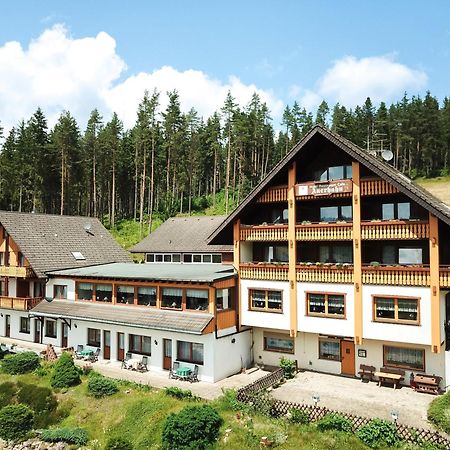 Auerhahn Bed And Breakfast - Black Forest - Waldhotel Eisenbach  Buitenkant foto