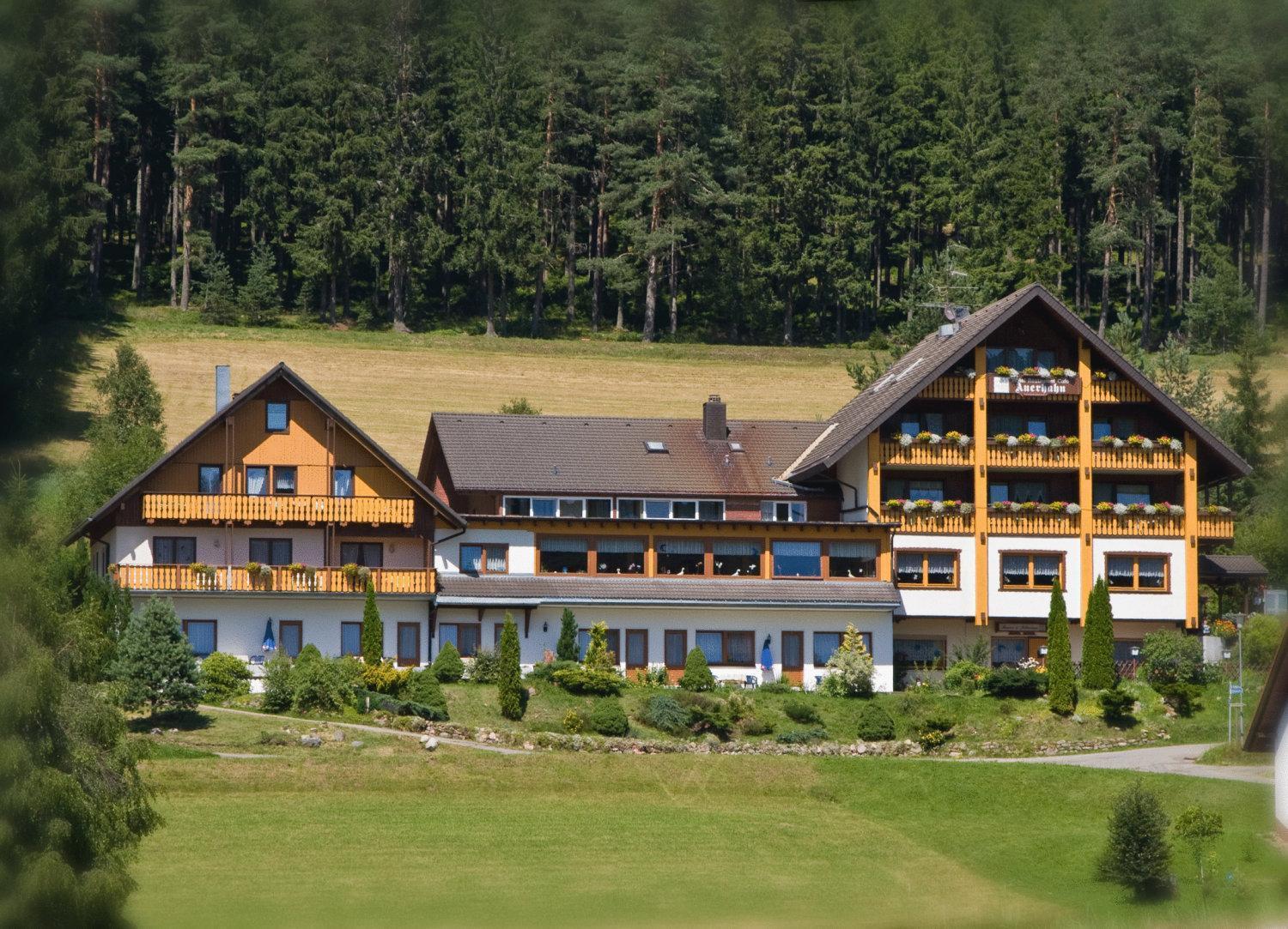 Auerhahn Bed And Breakfast - Black Forest - Waldhotel Eisenbach  Buitenkant foto