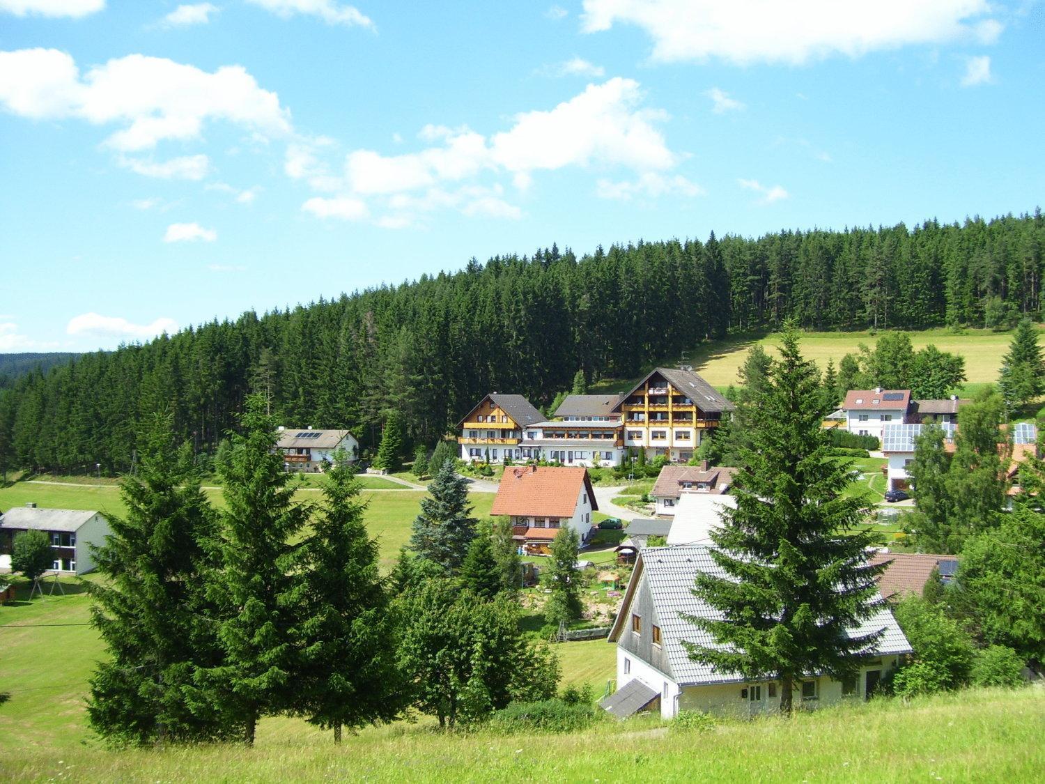 Auerhahn Bed And Breakfast - Black Forest - Waldhotel Eisenbach  Buitenkant foto