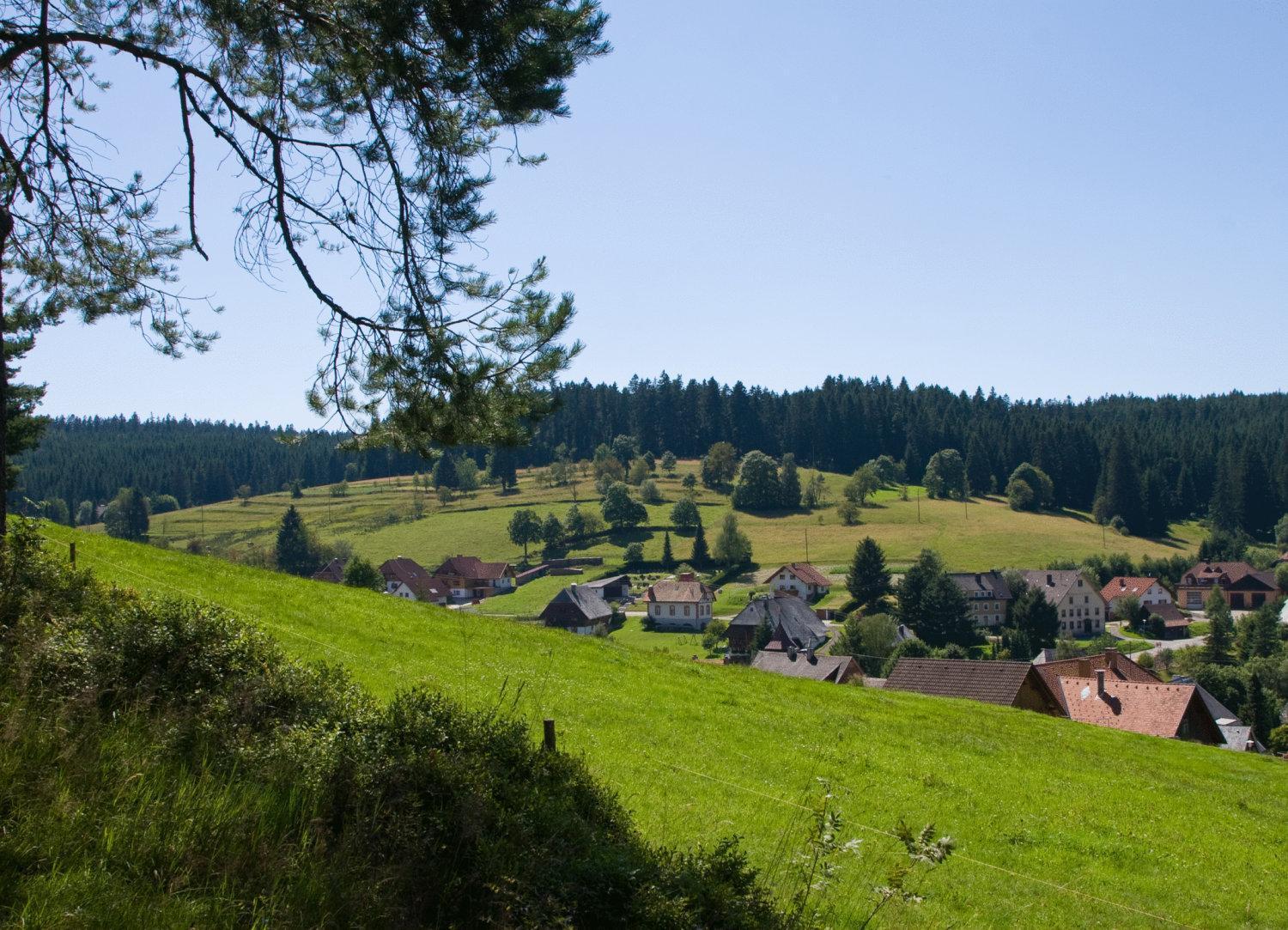 Auerhahn Bed And Breakfast - Black Forest - Waldhotel Eisenbach  Buitenkant foto