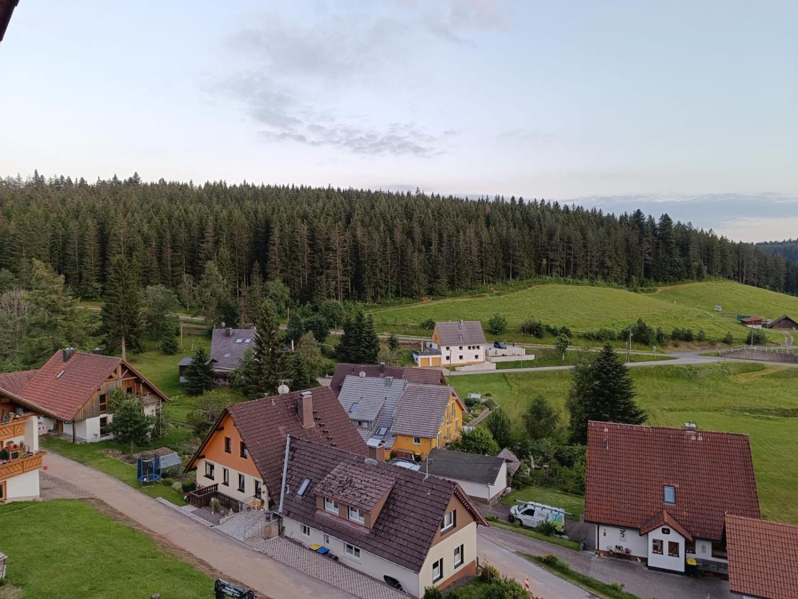 Auerhahn Bed And Breakfast - Black Forest - Waldhotel Eisenbach  Buitenkant foto