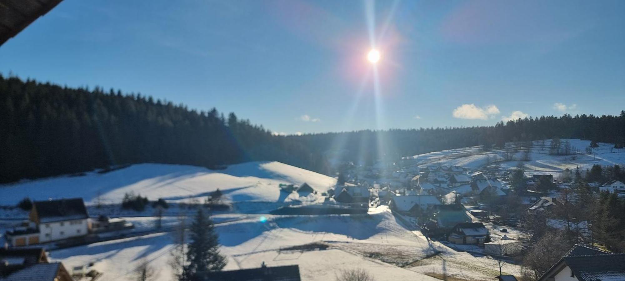 Auerhahn Bed And Breakfast - Black Forest - Waldhotel Eisenbach  Buitenkant foto