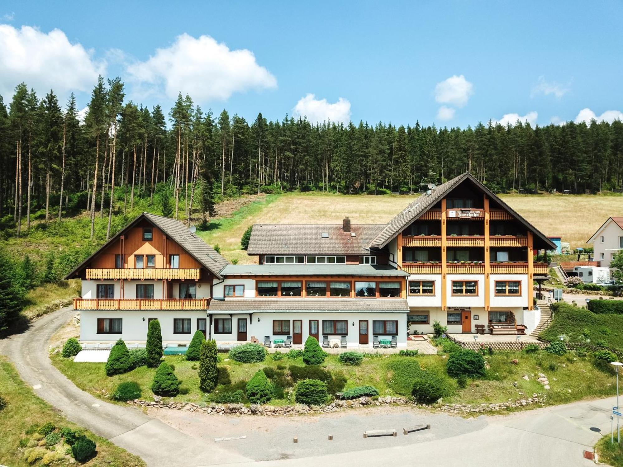 Auerhahn Bed And Breakfast - Black Forest - Waldhotel Eisenbach  Buitenkant foto