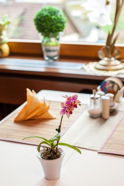 Auerhahn Bed And Breakfast - Black Forest - Waldhotel Eisenbach  Buitenkant foto