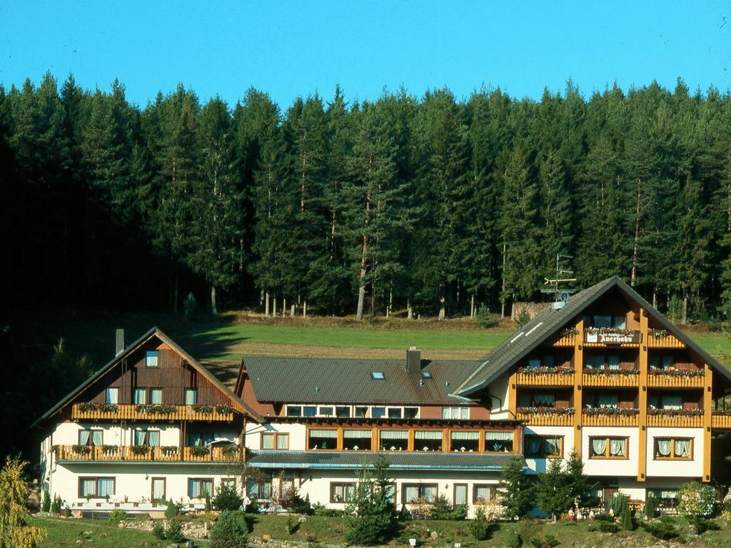 Auerhahn Bed And Breakfast - Black Forest - Waldhotel Eisenbach  Buitenkant foto